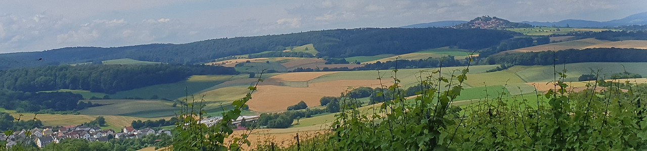 Tagespflege Eulennest