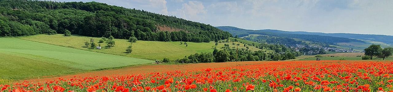 Tagespflege Eulennest