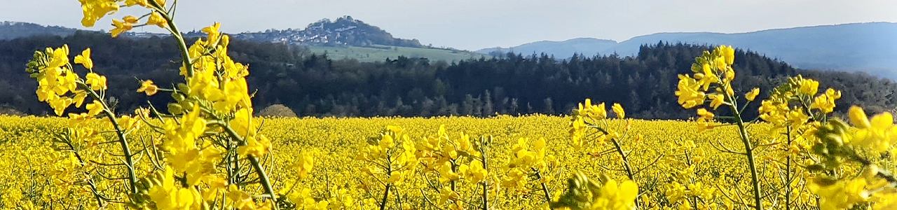 Tagespflege Eulennest